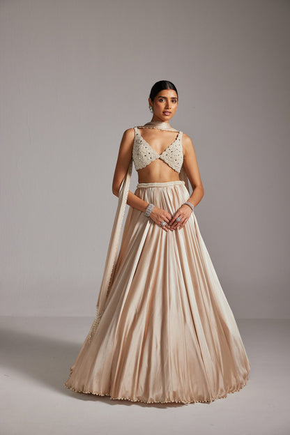 Light Beige V neck Satin Lehenga Set