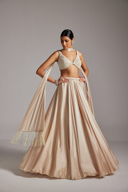 Light Beige V neck Satin Lehenga Set
