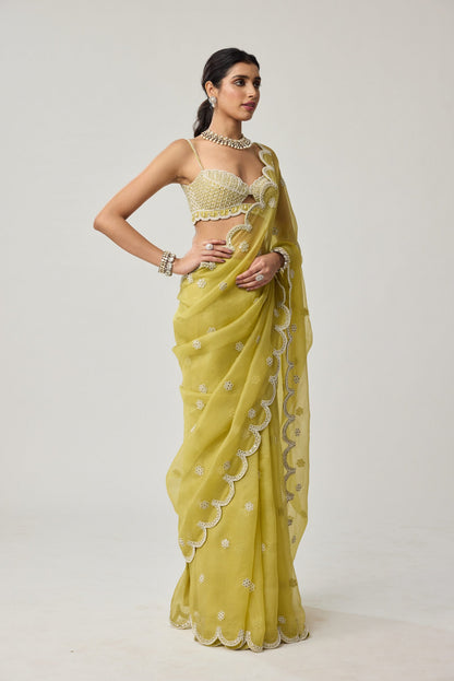 Fern Green Organza Mirror and Pearl saree set