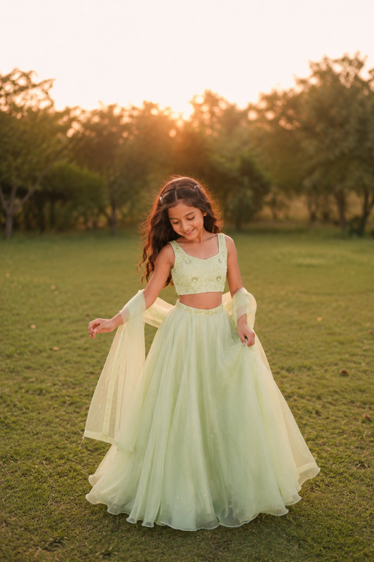 Summerhaven Green Silk Organza Lehenga