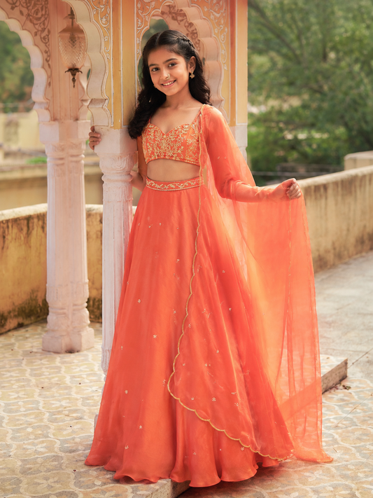 Sundaze Orange Silk Organza Lehenga Set