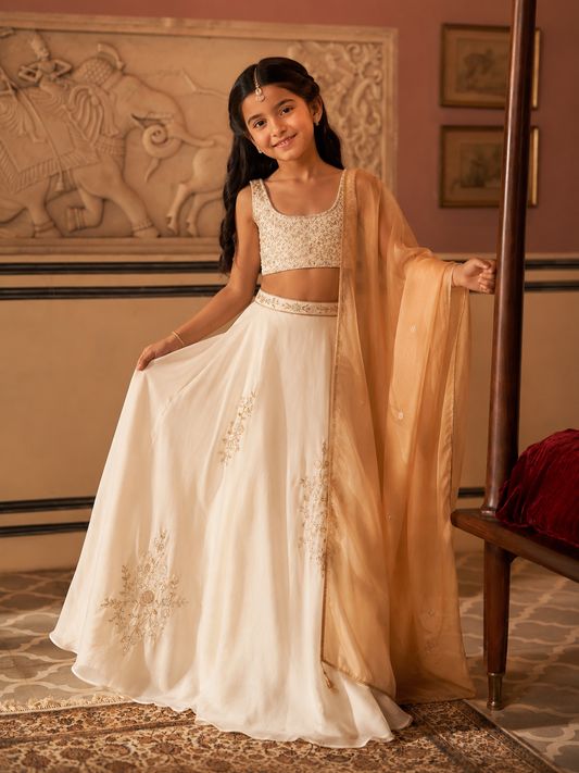 Pearl Gold Silk Organza Lehenga Set
