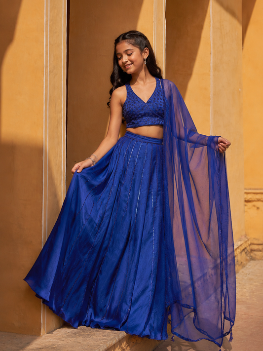Aster Blue Silk Organza Lehenga Set