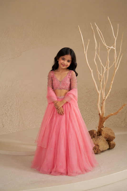 Camellia Pink Organza Lehenga Set