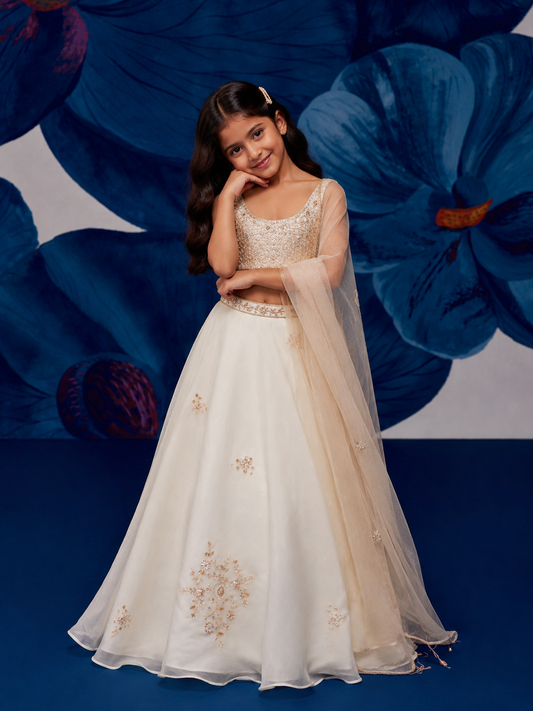 Moonlit Ivory Silk Organza Lehenga Set
