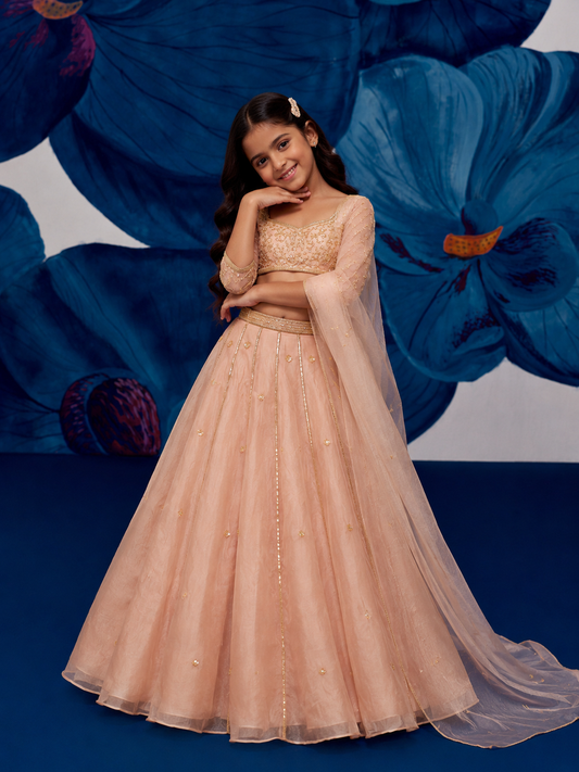 Starflower Rose Gold Silk Organza Lehenga Set