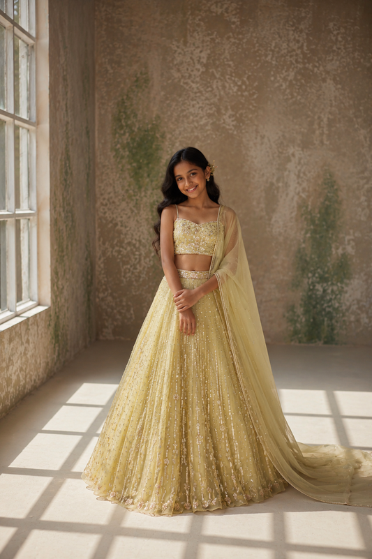 Ethereal Green Silk Organza Lehenga Set
