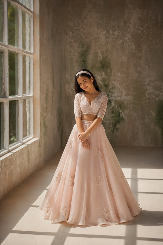 Elixir Silk Organza Lehenga Set
