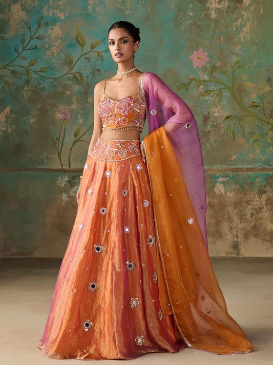 Gulnaar Orange Tissue Lehenga Set