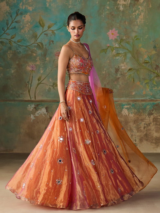 Gulnaar Orange Tissue Lehenga Set