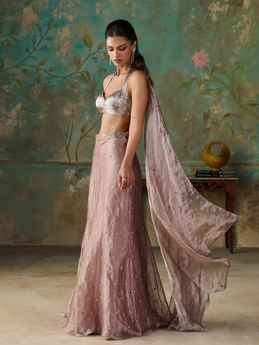 Rose Taupe Tissue Saree Set