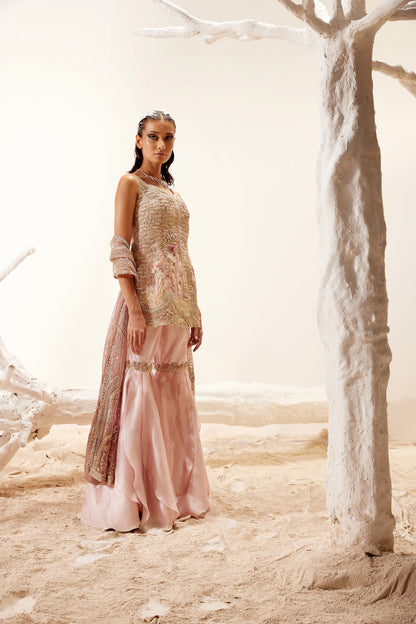 Lotus Pink sharara