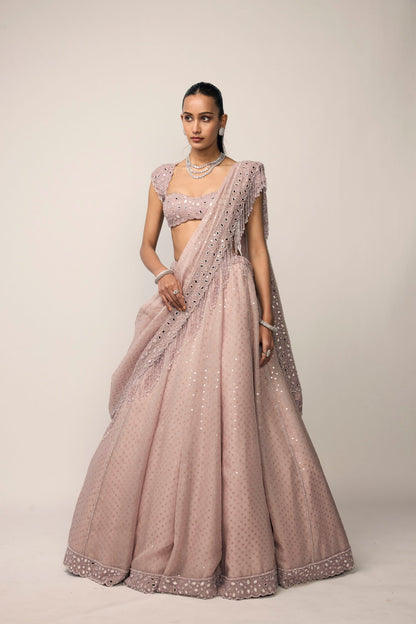 Ash Pink Sequins Embroidered Lehenga Set