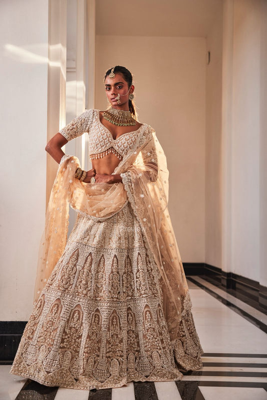 IVORY ORGANZA EMBROIDERED SET