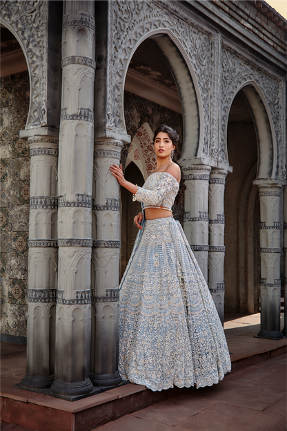Powder Blue Net Lehenga Set