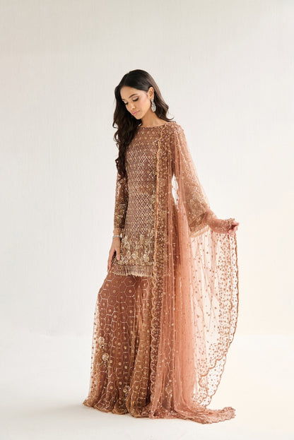 BROWN SHARARA SUIT