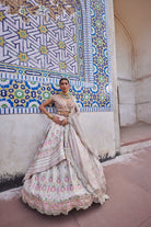 Shop Ivory Chanderi Banarasi Paneled Lehenga