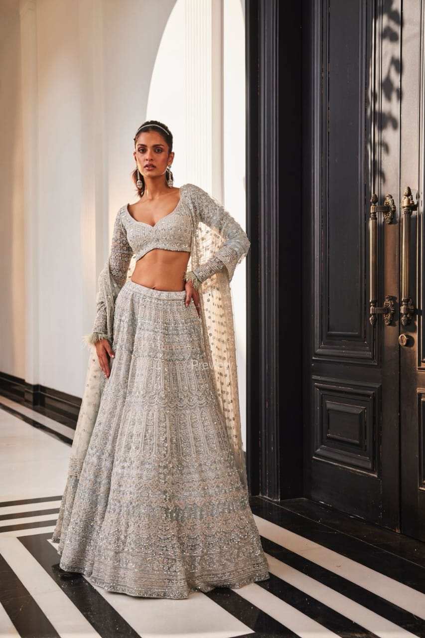 ICEBLUE EMBROIDERED ORGANZA SET