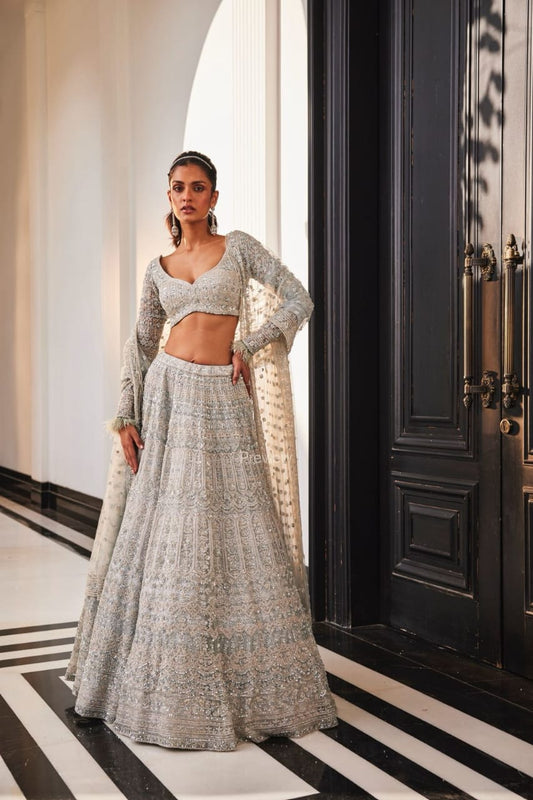 ICEBLUE EMBROIDERED ORGANZA SET