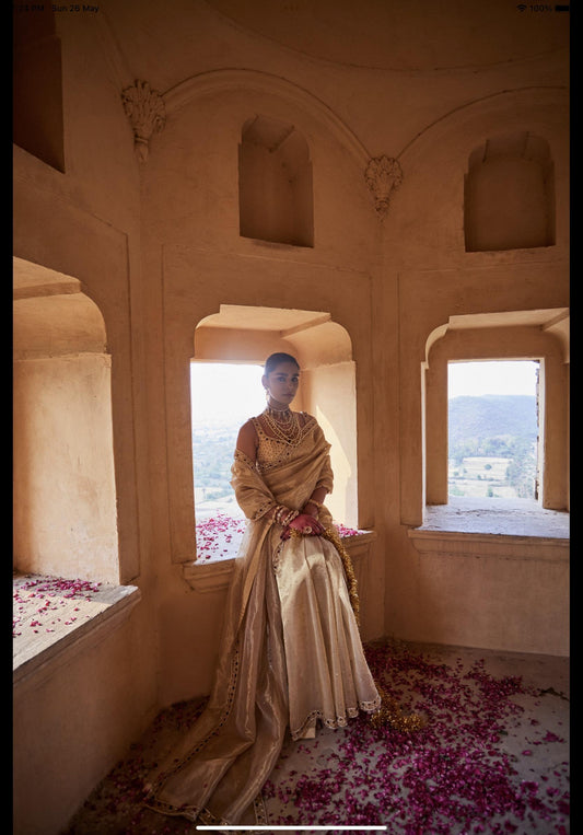 Inaara - Saree