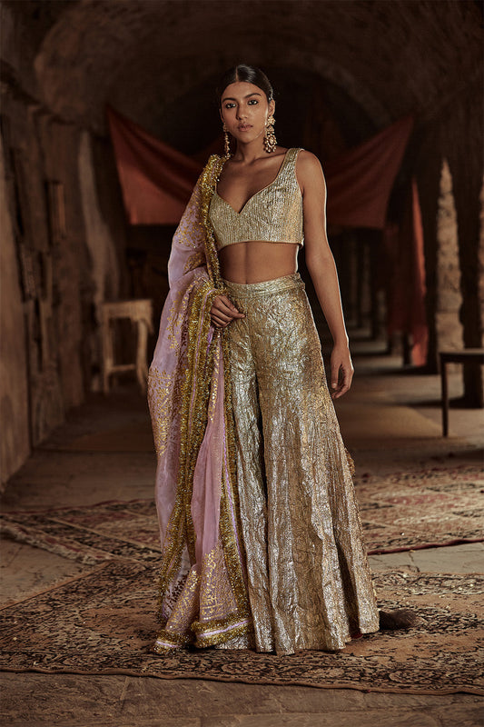 Aariz Sharara Set