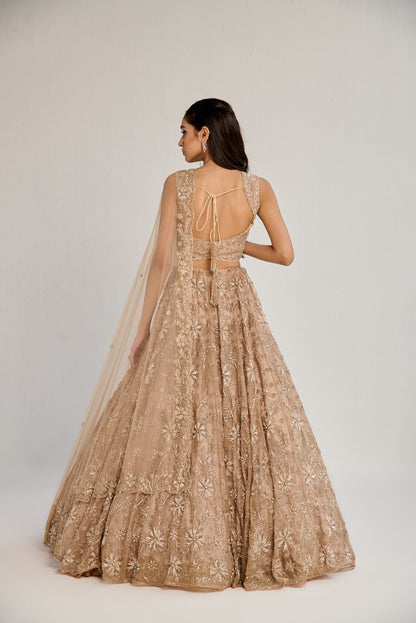 DIONA LEHENGA