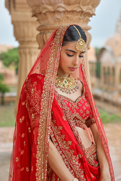Revati Lehenga Set