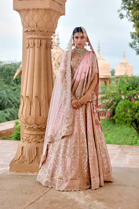 Damini Lehenga Set