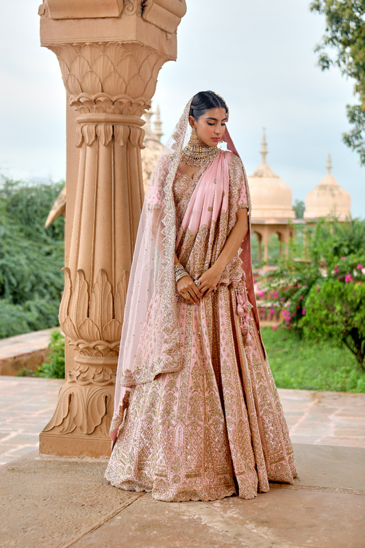 Damini Lehenga Set