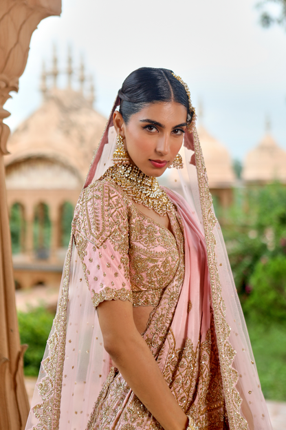 Damini Lehenga Set