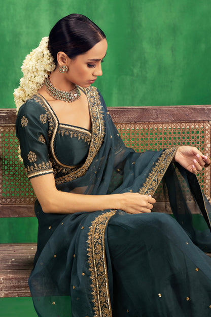 Raveena Tandon in Gehna Saree