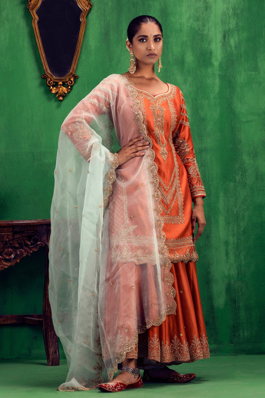 Medha Sharara Set