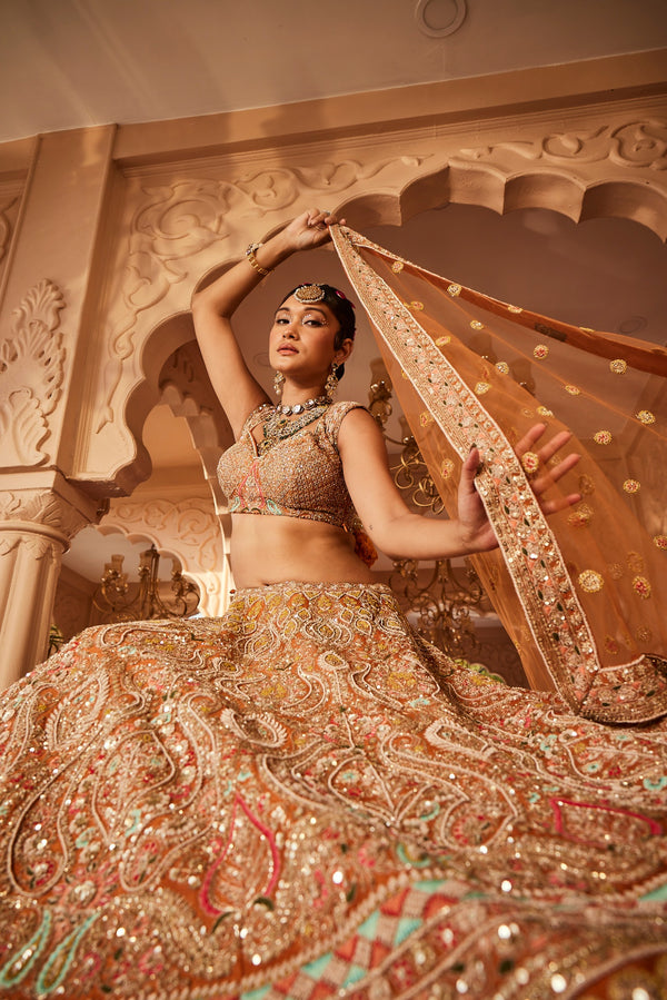 Rust embellished lehenga