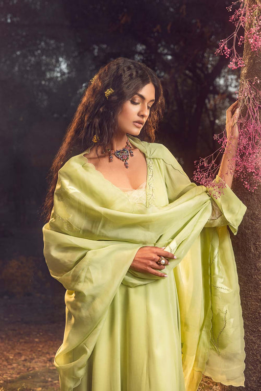 Soft Green Anarkali Set