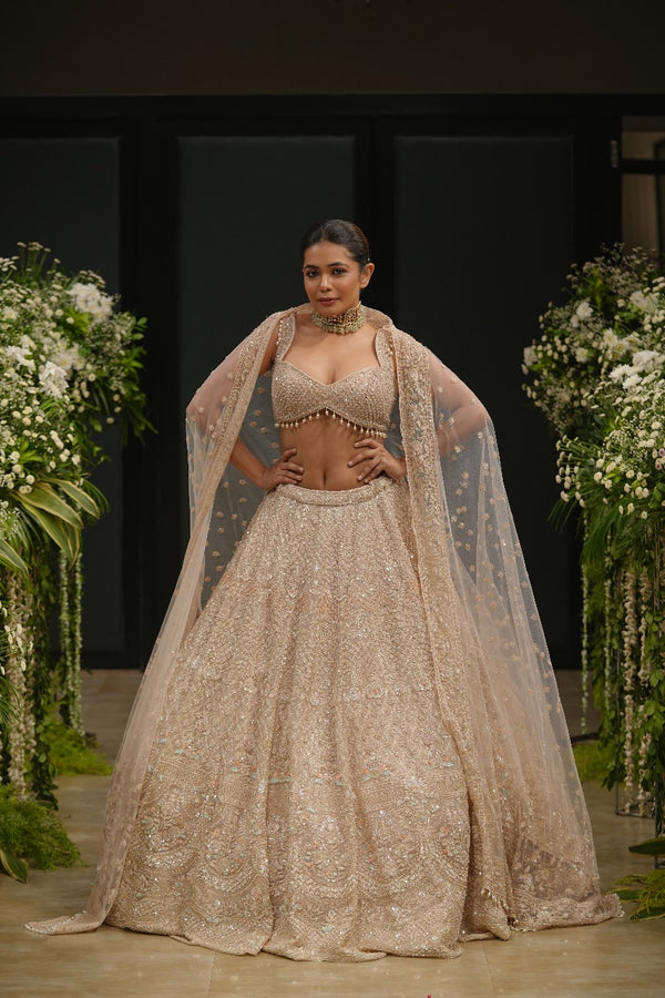 Peach Organza Hand & Machine Sequins Embroidered Lehenga Set
