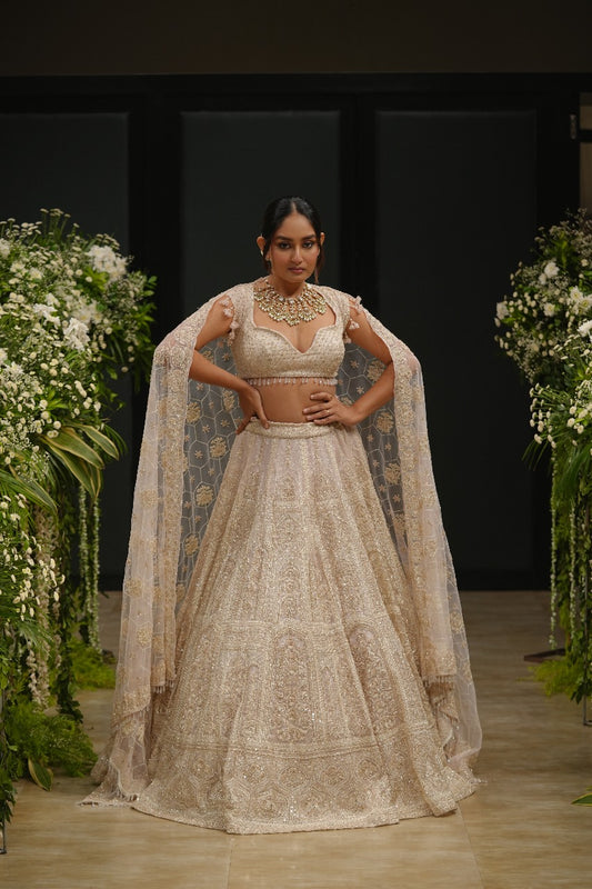 Pink Organza Hand & Machine Sequins Embroidered Lehenga Set