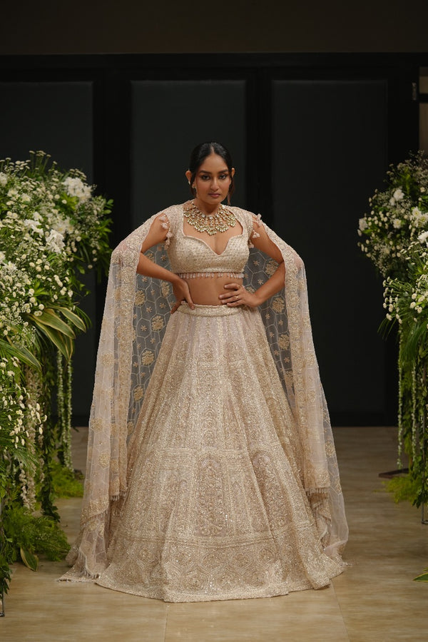 Pink Organza Hand & Machine Sequins Embroidered Lehenga Set
