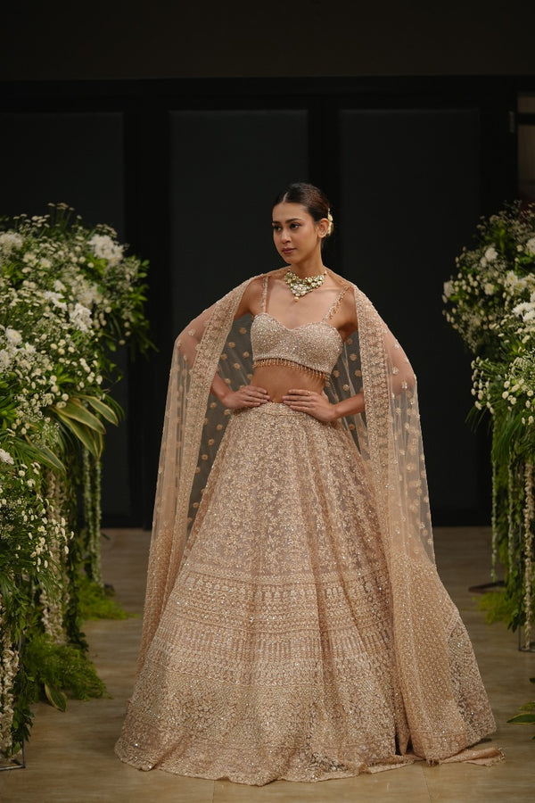 Pink Net Hand & Machine Sequins Embroidered Lehenga Set