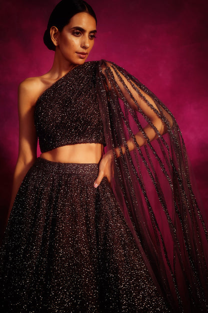 Oxidised Silver one shoulder veil Lehenga Set