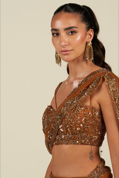RUST SAREE