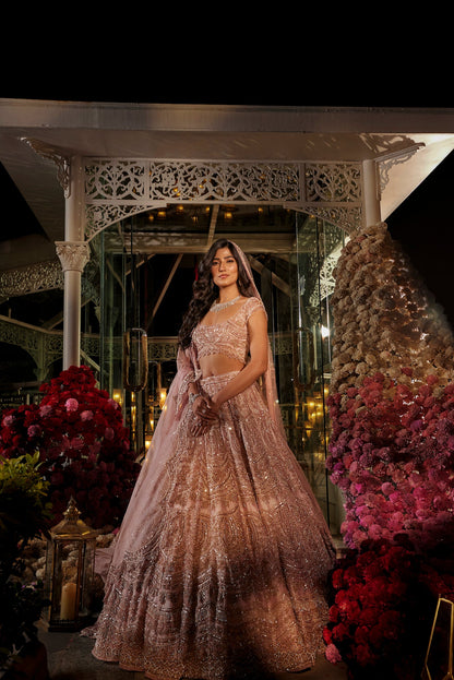 pink lehenga choli